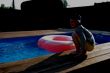 child relaxing by a pool with timber decking